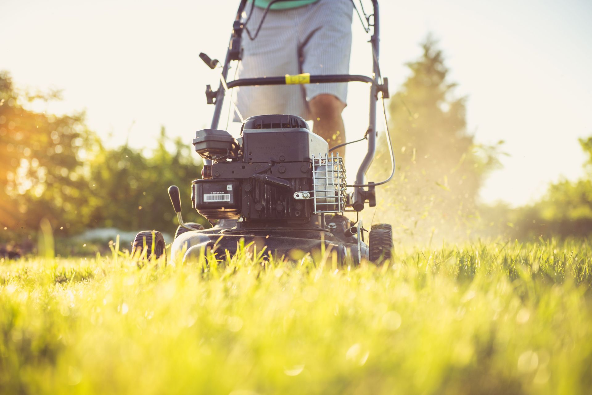 Close-up of a person mowing a sunlit lawn with a push mower, showcasing summertime yard care.